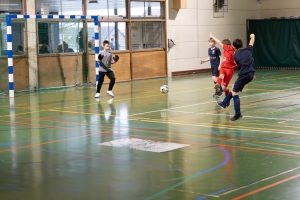 _MG_2800-Avec accentuation-Bruit.jpg